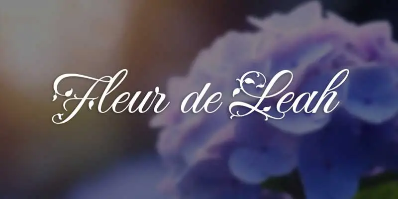 font chu viet hoa thiet ke web trustweb 5